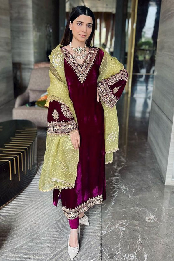 Wine Colored Velvet Dress